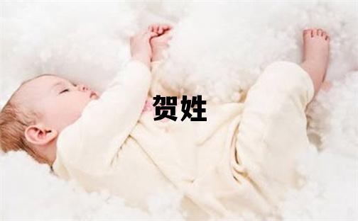 贺姓吉利的男宝宝名字