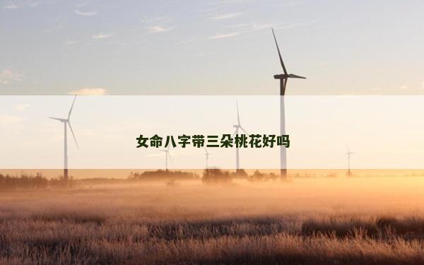 女命八字带三朵桃花好吗