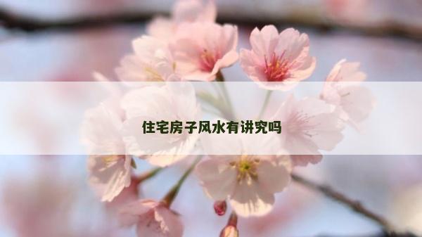 住宅房子风水有讲究吗