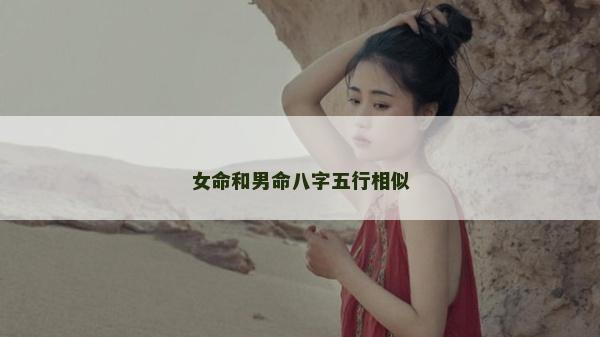 女命和男命八字五行相似