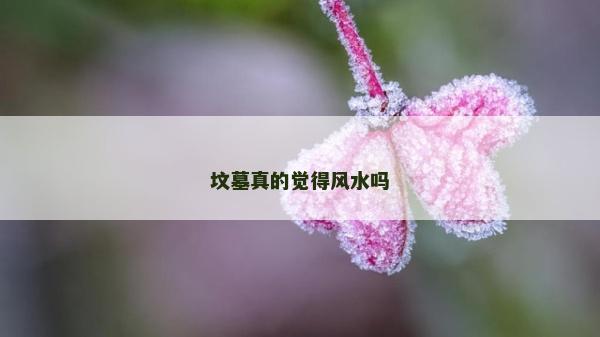 坟墓真的觉得风水吗