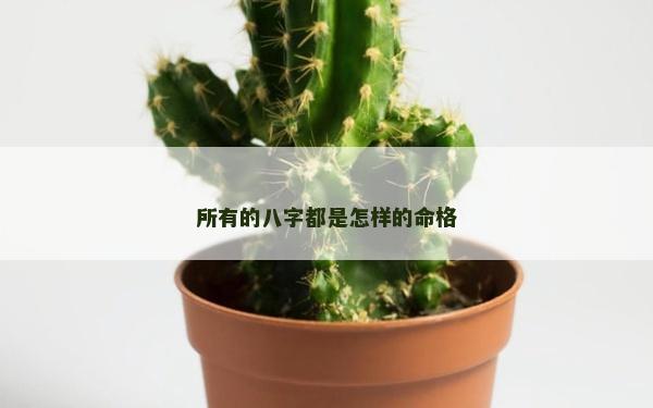 所有的八字都是怎样的命格