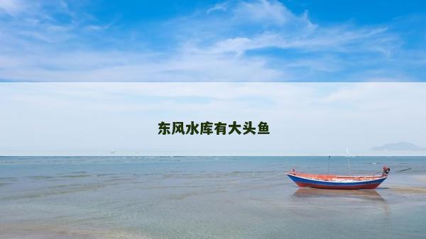 东风水库有大头鱼