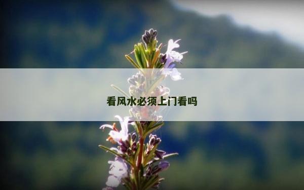 看风水必须上门看吗