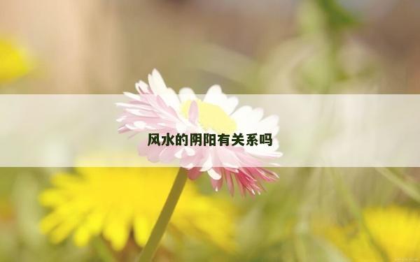 风水的阴阳有关系吗
