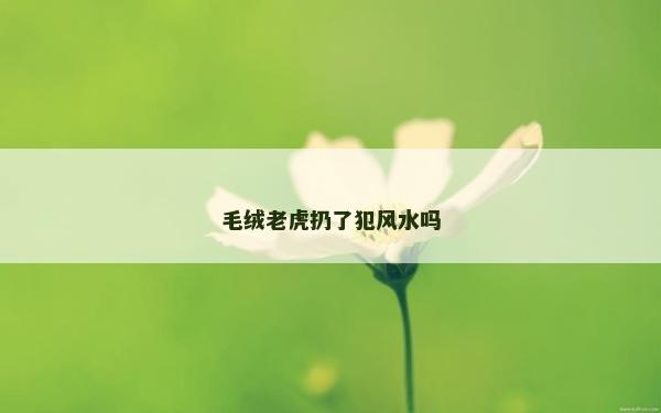 毛绒老虎扔了犯风水吗