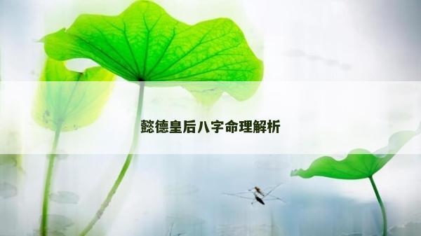 懿德皇后八字命理解析