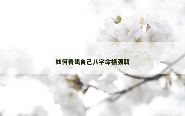 如何看出自己八字命格强弱