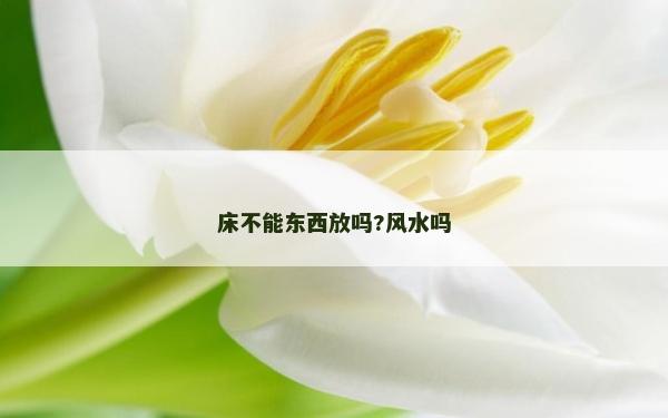 床不能东西放吗?风水吗