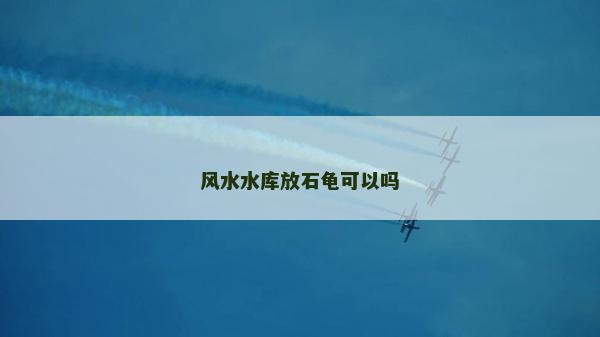 风水水库放石龟可以吗