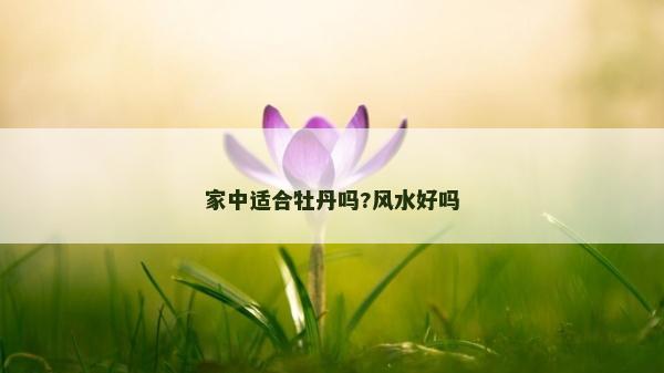 家中适合牡丹吗?风水好吗
