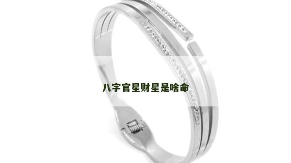 八字官星财星是啥命