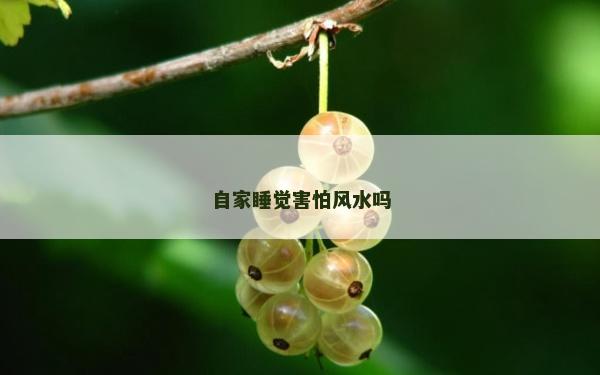 自家睡觉害怕风水吗
