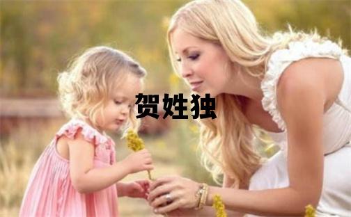 贺姓独特优美的女孩名字,取什么名字好
