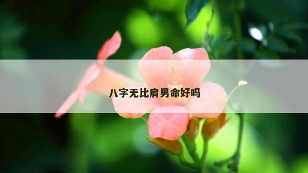 八字无比肩男命好吗