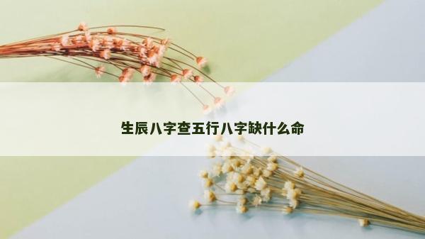 生辰八字查五行八字缺什么命