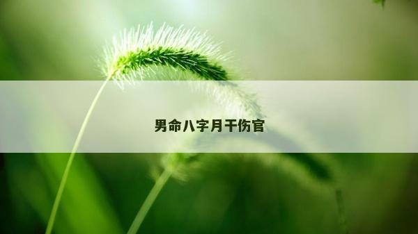 男命八字月干伤官