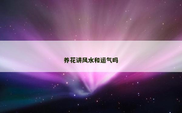 养花讲风水和运气吗