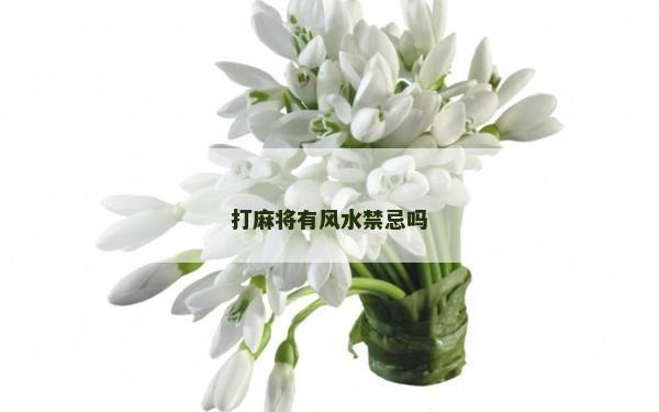 打麻将有风水禁忌吗