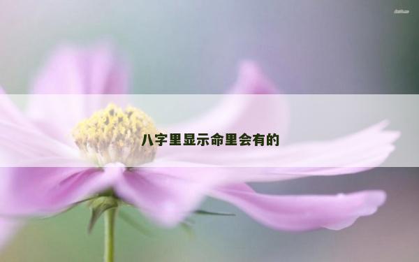 八字里显示命里会有的