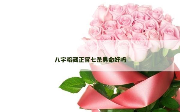 八字暗藏正官七杀男命好吗