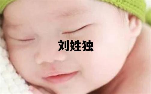 刘姓独特优美的男孩名字