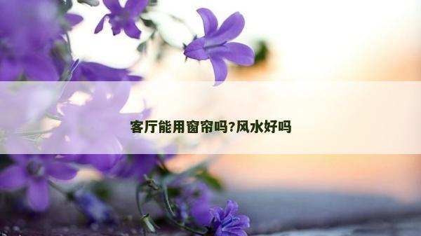 客厅能用窗帘吗?风水好吗