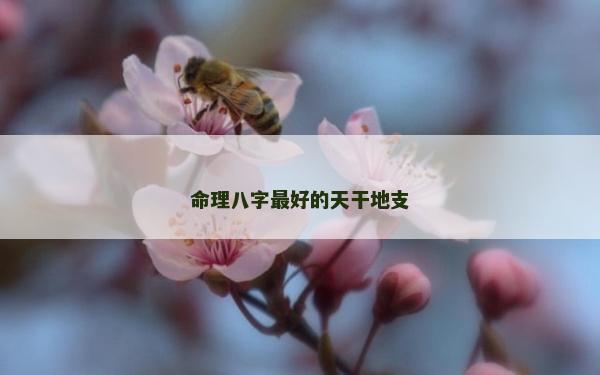 命理八字最好的天干地支