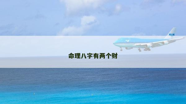 命理八字有两个财