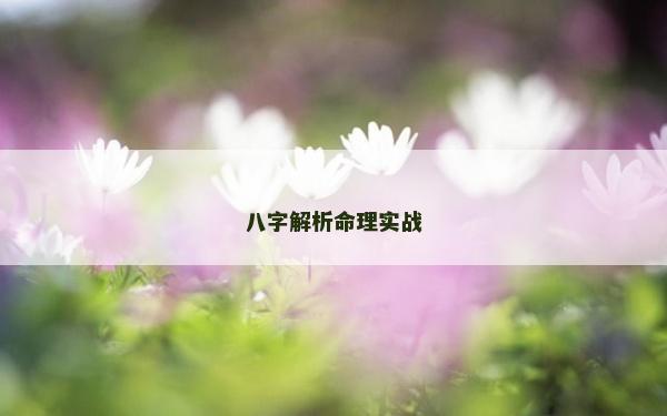 八字解析命理实战