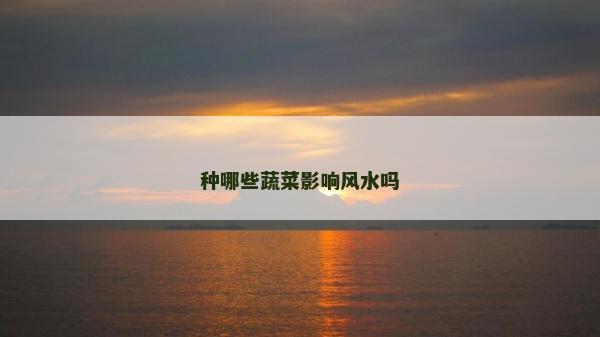 种哪些蔬菜影响风水吗