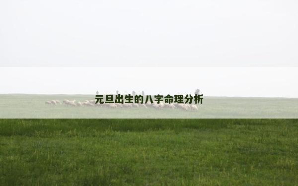 元旦出生的八字命理分析