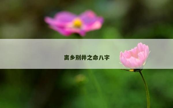 离乡别井之命八字