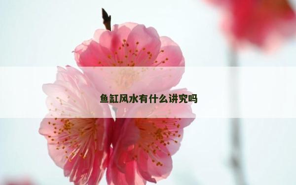 鱼缸风水有什么讲究吗