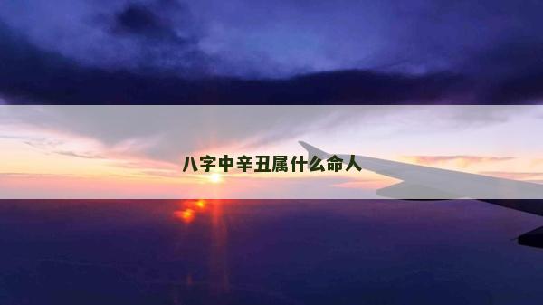 八字中辛丑属什么命人