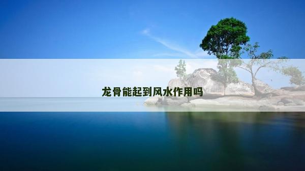 龙骨能起到风水作用吗