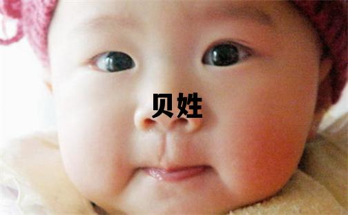 贝姓朗朗上口的男宝宝名字