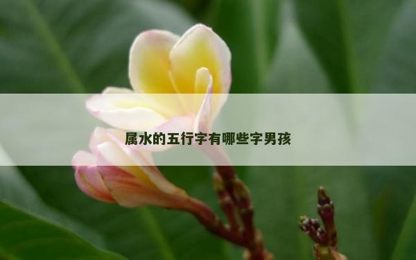 属水的五行字有哪些字男孩