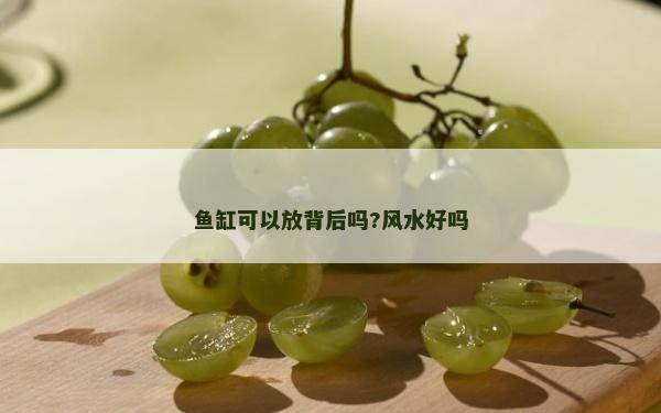 鱼缸可以放背后吗?风水好吗