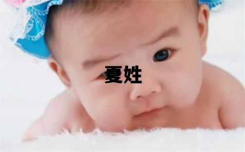 夏姓洋气的男宝宝名字