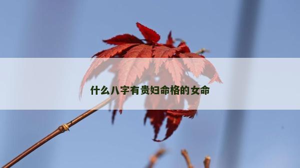 什么八字有贵妇命格的女命