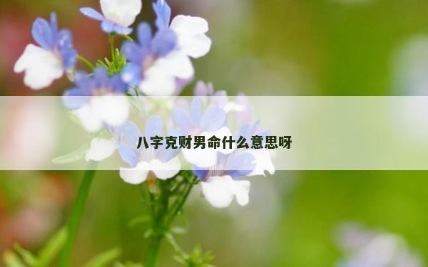 八字克财男命什么意思呀