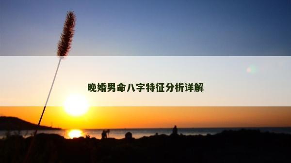 晚婚男命八字特征分析详解