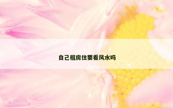 自己租房住要看风水吗