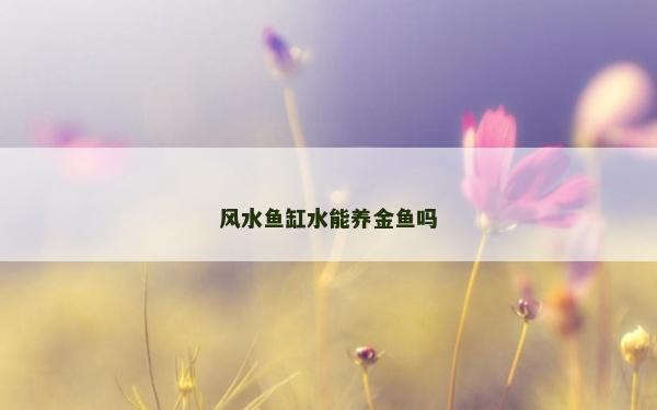 风水鱼缸水能养金鱼吗