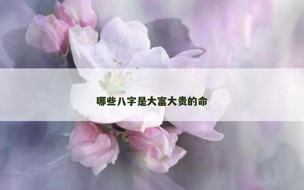 哪些八字是大富大贵的命