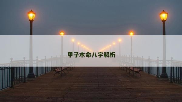 甲子木命八字解析