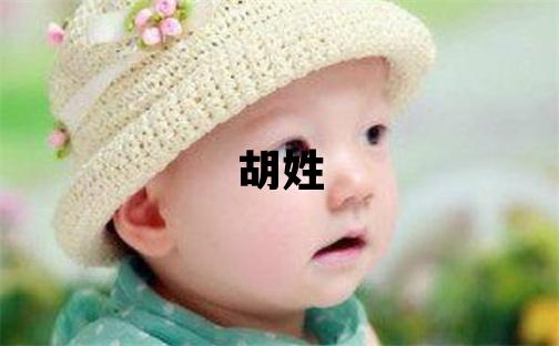 胡姓取名有含义的男宝宝名字