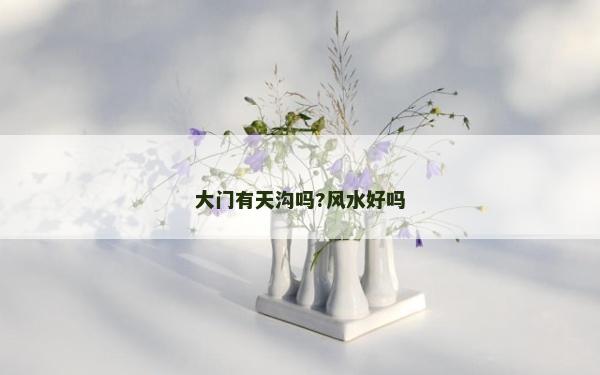 大门有天沟吗?风水好吗