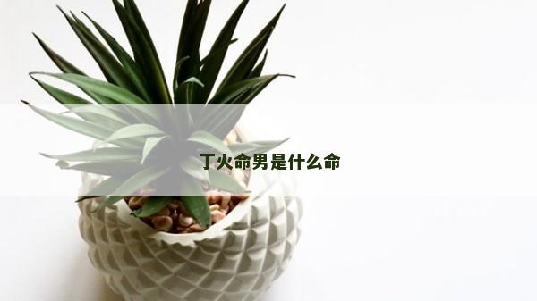 丁火命男是什么命